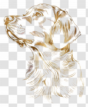 Gold Dog - Golden Retriever Illustration In Line Art Style Transparent PNG