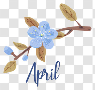 Hello April - April Flower Branch With Blossoms Illustration Transparent PNG