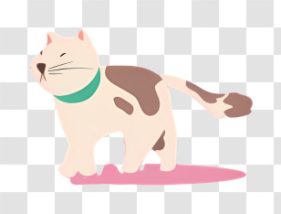 Black Cat - White And Brown Cat Walking With Collar Transparent PNG