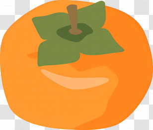 Fruit - Bright Orange Persimmon Illustration Transparent PNG