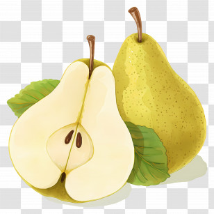 Watercolor Pear Fruit - Pears Illustration Transparent PNG