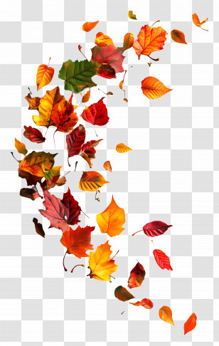 Autumn Begins - Falling Autumn Leaves Illustration Transparent PNG