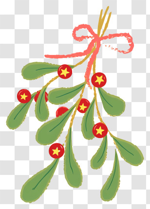 Christmas Mistletoe - Hand-drawn Mistletoe With Bow Transparent PNG