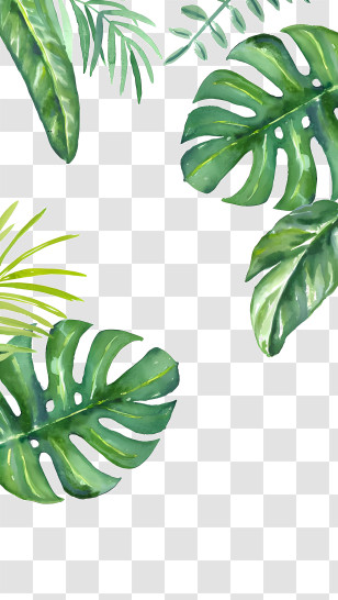Background - Tropical Leaves Pattern With Green Foliage Design Transparent PNG