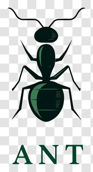 Ant Logo - Stylized Black Ant Icon Transparent PNG