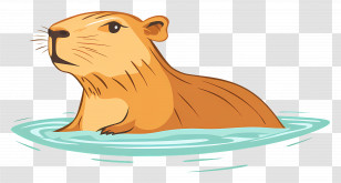 Capybara - Swimming Capybara Illustration In Water Transparent PNG