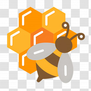 Honey Bee - Bee And Honeycomb Illustration Transparent PNG