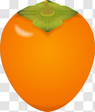 Persimmon - Orange Persimmon Fruit Illustration Transparent PNG