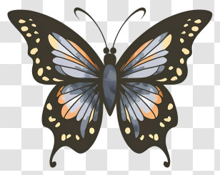 Cartoon - Black Butterfly With Intricate Wing Patterns Transparent PNG