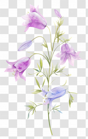 Watercolor Wildflower - Purple Bell Flowers Watercolor Illustration Transparent PNG
