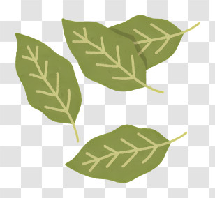 Seasoning Elements - Green Leaves Botanical Illustration Transparent PNG