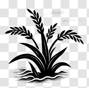 Rice Paddy - Artistic Black Plant Silhouette Transparent PNG