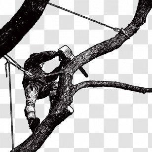 Tree Climbing Branch Arborist - Drone Logo Transparent PNG