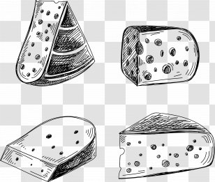 Cheese Vecteur Euclidean Vector - Monochrome Photography Transparent PNG