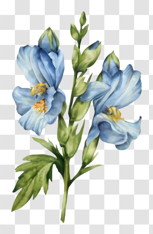Watercolor Painting - Beautiful Blue Flowers Transparent PNG