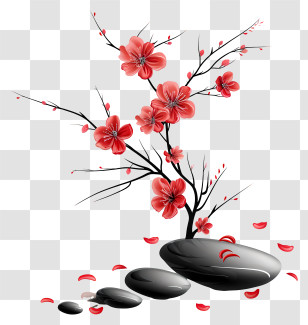 Zen Flower Arrangement - Red Flowers With Black Stones In A Zen Setting Transparent PNG