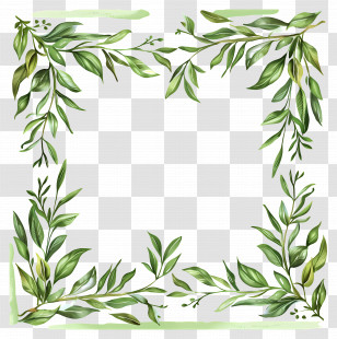 Willow Leaves Border Frame - Leafy Frame Botanical Illustration Transparent PNG
