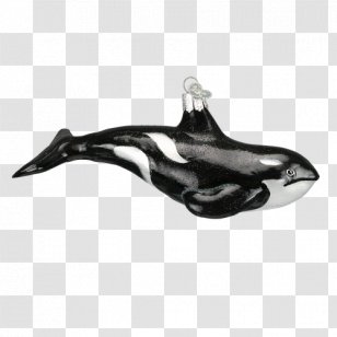 Dolphin Cetacea Killer Whale Glass - Black And White Transparent PNG