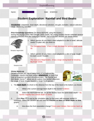 Bird Beak Ripple Tank ExploreLearning Finches - Biology Transparent PNG
