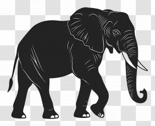 Elephant Silhouette - Elephant Silhouette Artwork Transparent PNG