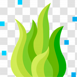 Seaweed - Green Seaweed Illustration Transparent PNG