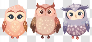 Cute Owls - Cute Cartoon Owls Trio Art Transparent PNG