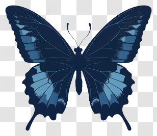 Butterfly Silhouette - Blue Butterfly With Artistic Wings Illustration Transparent PNG