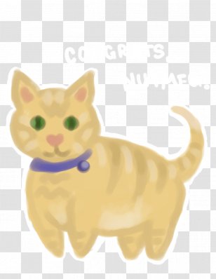 Kitten Whiskers Tabby Cat Domestic Short-haired - Carnivoran - Grad Transparent PNG