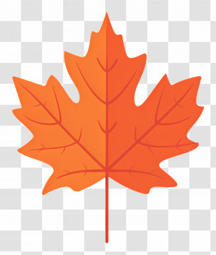 Autumn Maple Leaf - Bright Orange Maple Leaf Illustration Transparent PNG