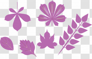 Autumn Leaf Autumn Color Transparent PNG