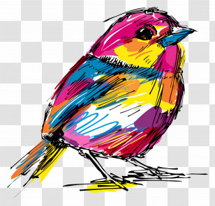 Bird - Vivid Illustration Of A Colorful Bird Transparent PNG