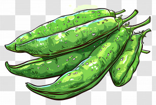 Green Beans - Green Pea Pods In Hand-Drawn Style Transparent PNG