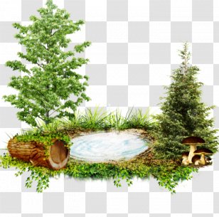 Alice Ð¯Ð½Ð´ÐµÐºÑ.Ð¤Ð¾Ñ‚ÐºÐ¸ Yandex Fir - Competition - Design Transparent PNG