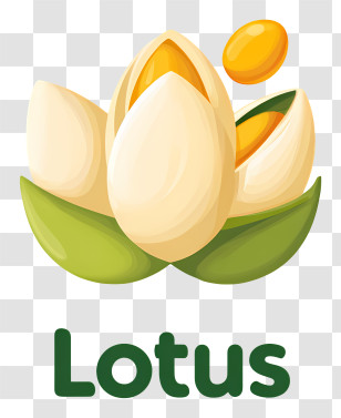 Lotus Logo - Lotus Brand Logo Transparent PNG