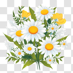Daisy Flower - Fresh Daisy Flower Bouquet Illustration Transparent PNG