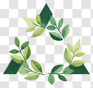 Leaves Stems Triangle - Leafy Eco Triangle Icon Transparent PNG