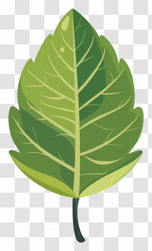 Single Leaf - Green Leaf Cartoon Illustration Transparent PNG