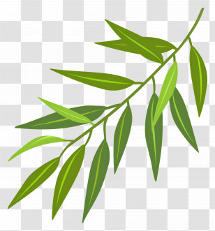 Willow Leaf - Bamboo Leaves On A Branch Illustration Transparent PNG