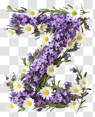 Floral Letter Z - Floral Letter Z With Daisy And Lavender Transparent PNG