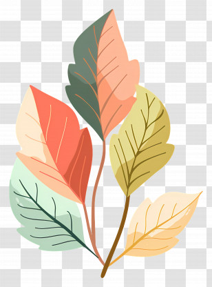 Dried Flowers - Colorful Autumn Leaves Illustration Transparent PNG