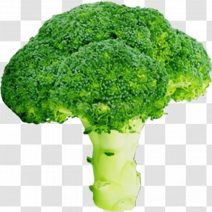 Broccoli Leaf Vegetable Cruciferous Vegetables Green - Lettuce Food Transparent PNG