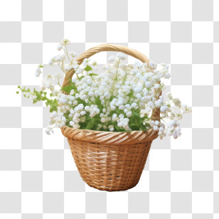 Baby Breath Flower - Wicker Basket With White Flowers Transparent PNG