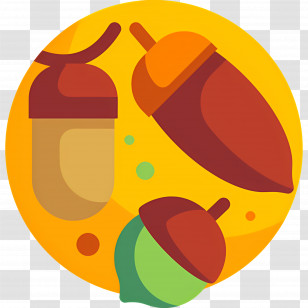 Acorns - Colorful Acorns In Autumn Transparent PNG