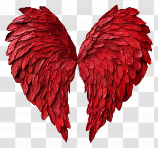Valentines Day - Red Feathered Wings Transparent PNG