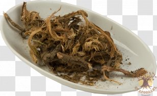 Romeritos Root Red Plant Recipe - Animal Source Foods Transparent PNG
