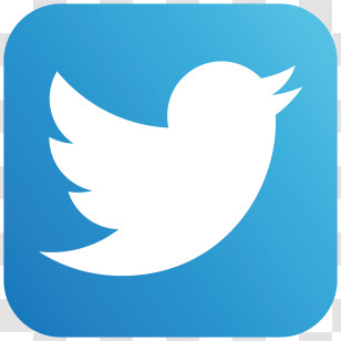 Twitter Bird - Twitter Bird Logo On Blue Background Transparent PNG