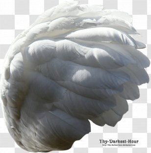 Cygnini Bird Feather DeviantArt - Deviantart - Swan Transparent PNG