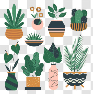 Potted Plants - Stylized Potted Houseplants In Cartoon Style Transparent PNG