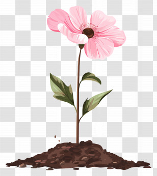 Pink Flower - Pink Flower Growing In Soil Illustration Transparent PNG
