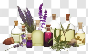Bach Flower Remedies - Essential Oil Bottles With Herbs And Flowers Transparent PNG